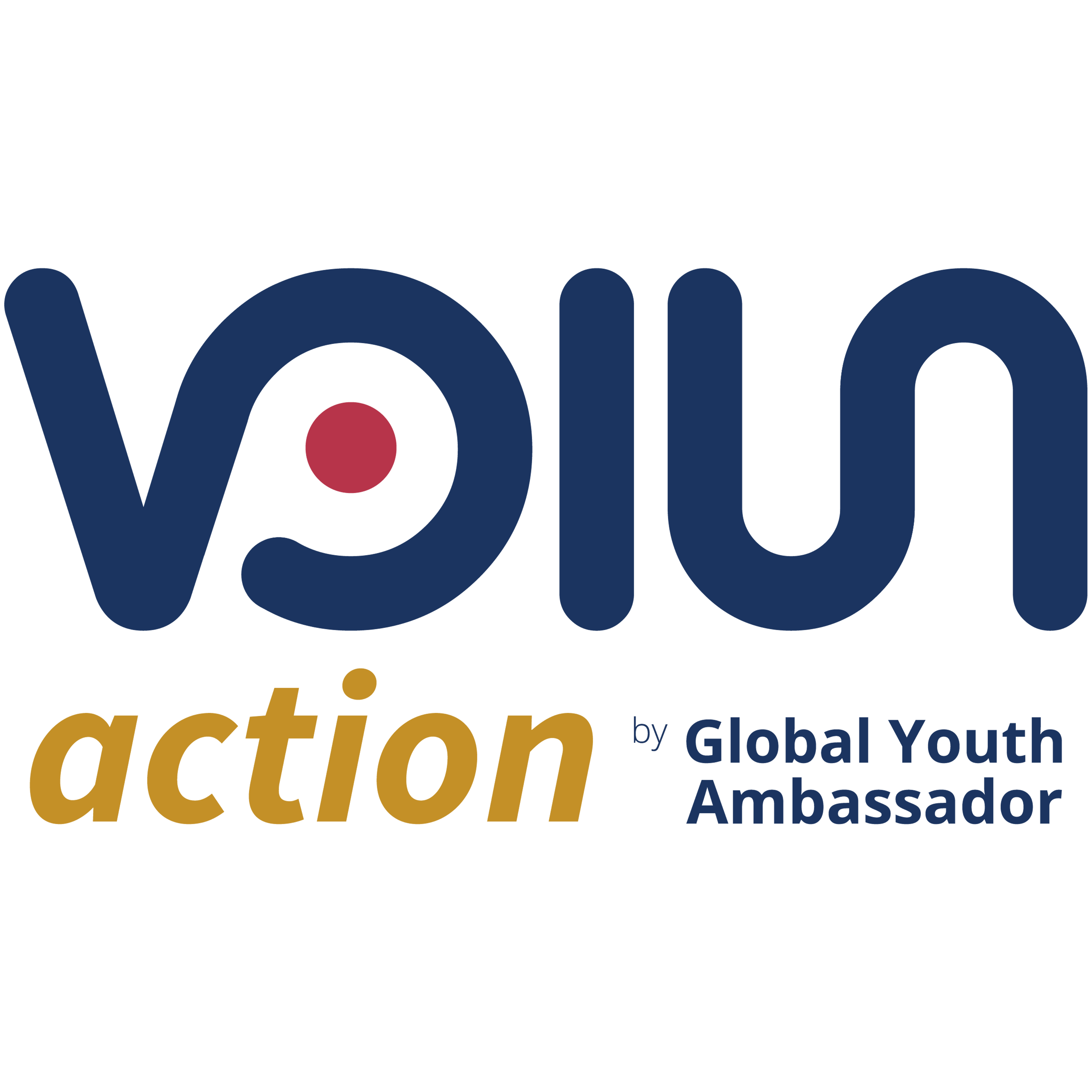 Volunaction